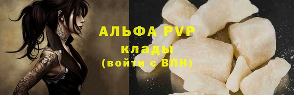спиды Верея