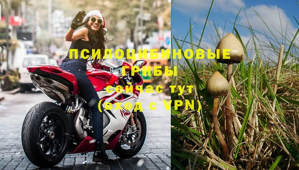 спиды Верея