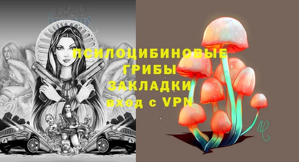 спиды Верея
