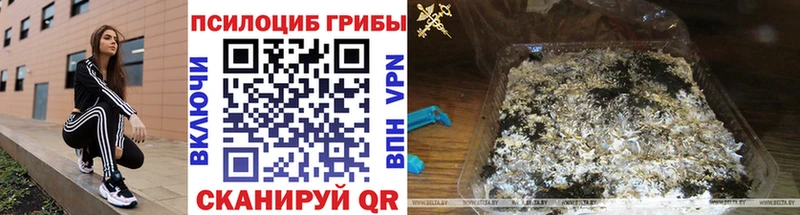 Купить закладки  Дно  Псилоцибиновые грибы ЛСД 